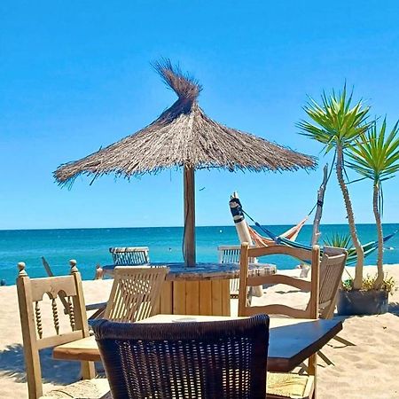 T3 Grande Terrasse Bord De Mer Le Barcares Luaran gambar